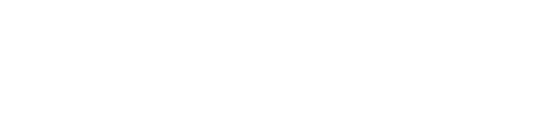 VieyraWeb